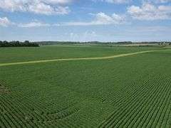 Bremer County, IA Land For Sale / 219.43 +/- Acres
