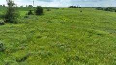 Low-elevation drone view of rolling native grassland dotted with small shrubs and a few trees, part of a 27-acre Washington County, Iowa parcel for sale.