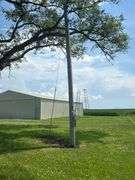 Ground-level photo of a wooden utility pole with transformer and overhead service line set in a mown farmyard, with cornfields and blue sky—part of a 42-acre Washington County farm for sale.