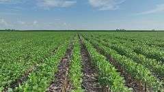 Washington County 120 +/- Acres (Subject to Survey) (Tract 12)