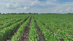 Washington County 120 +/- Acres (Subject to Survey) (Tract 12)