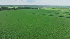 Wide drone view of expansive, uniform soybean fields in Washington County, Iowa—72 acres of contiguous cropland stretching toward a distant highway and rolling farmland.
