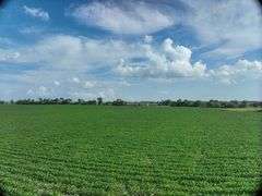 Louisa County 147 +/- Acres (Subject to Survey) (Tract 11)