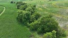 Low-elevation drone view of a 27-acre Washington County, Iowa parcel for sale—mature hardwood timber borders curved soybean rows, with expansive cornfields rolling out beyond.