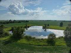 Louisa County 147 +/- Acres (Subject to Survey) (Tract 11)