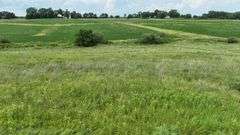 Mid-elevation drone view of a 30-acre Washington County tract for sale, featuring rolling prairie grass in the foreground, a brush-lined drainage swale, and row-crop fields with a distant farmstead.