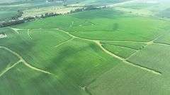 Aerial drone view of 70 contiguous acres of Washington County cropland for sale—lush soybean fields patterned with branching grass waterways and bordered by a tree-lined rail spur.