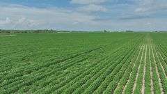 Washington County 120 +/- Acres (Subject to Survey) (Tract 12)