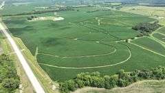Aerial photo of a 77-acre Washington County, Iowa row-crop farm—lush green soybean fields with sweeping contour rows and long paved-road frontage.