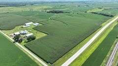 Aerial drone view of a 77-acre Washington County, Iowa row-crop farm for sale—continuous green soybean fields bordered by two paved roads and set amid rolling countryside.