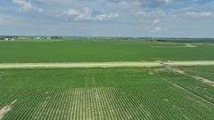 Washington County 120 +/- Acres (Subject to Survey) (Tract 12)