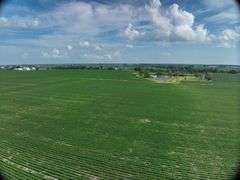 Louisa County 147 +/- Acres (Subject to Survey) (Tract 11)