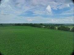Wide drone view of expansive, uniform soybean fields in Washington County, Iowa—72 acres of contiguous cropland stretching toward a distant highway and rolling farmland.
