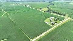 Aerial drone photograph of a 42-acre Washington County farmland tract for sale, showing lush row-crop fields plus two white machine sheds and two round grain bins along a paved road.