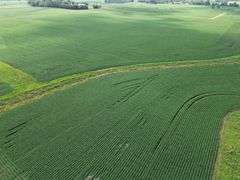 Bremer County, IA Land For Sale / 219.43 +/- Acres