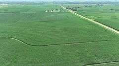 Aerial view of a 106-acre Washington County, Iowa cornfield for sale, bordered by hard-surface roads and surrounded by gently rolling farmland and scattered farmsteads.