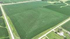 Aerial drone photograph of a 106-acre Washington County, Iowa row-crop farm for sale—lush cornfields shaped by gentle contour farming and bordered on two sides by paved roads.