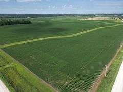 Bremer County, IA Land For Sale / 219.43 +/- Acres