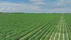 Washington County 120 +/- Acres (Subject to Survey) (Tract 12)