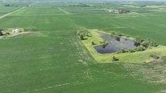 Louisa County 147 +/- Acres (Subject to Survey) (Tract 11)