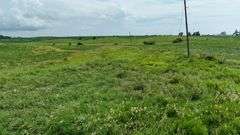 Low-elevation drone view of rolling native grassland dotted with small shrubs and a few trees, part of a 27-acre Washington County, Iowa parcel for sale.