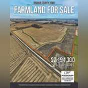Thumbnail image of Bremer County Flyer