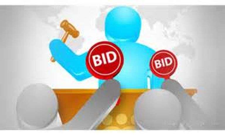 Bidding Increments: