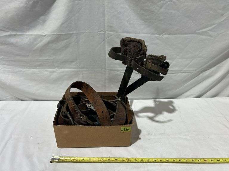 Electrical Pole Climbing Gear 2 Climbing Spikes, Harness Wild Rose