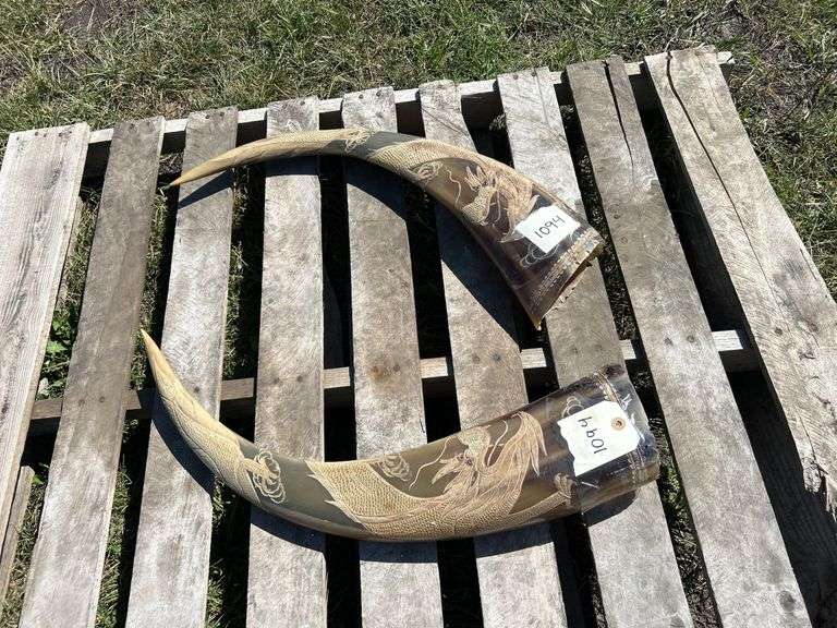Vintage Horns carved w/ dragons, approx 2'L, *Unreserved*