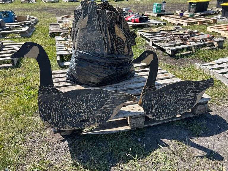 Vintage Cardboard Duck Decoys, approx 30, *Unreserved*