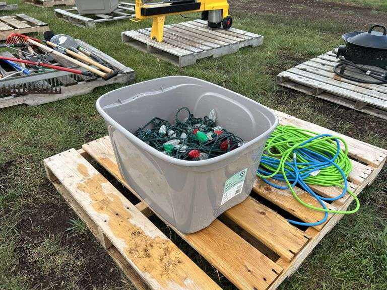 200ft (approx) of Led Christmas Lights & 2 - Extension Cords