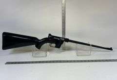 AR-7 Explorer .22 Rimfire Takedown Rifle, sn no , *Unreserved*
