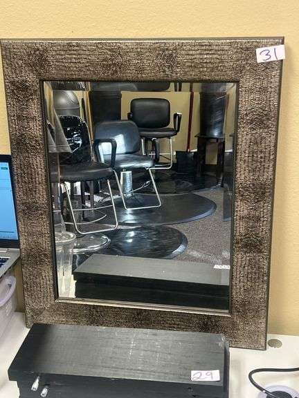 SNAKE PRINT LINED WALL MIRROR 22"X26"