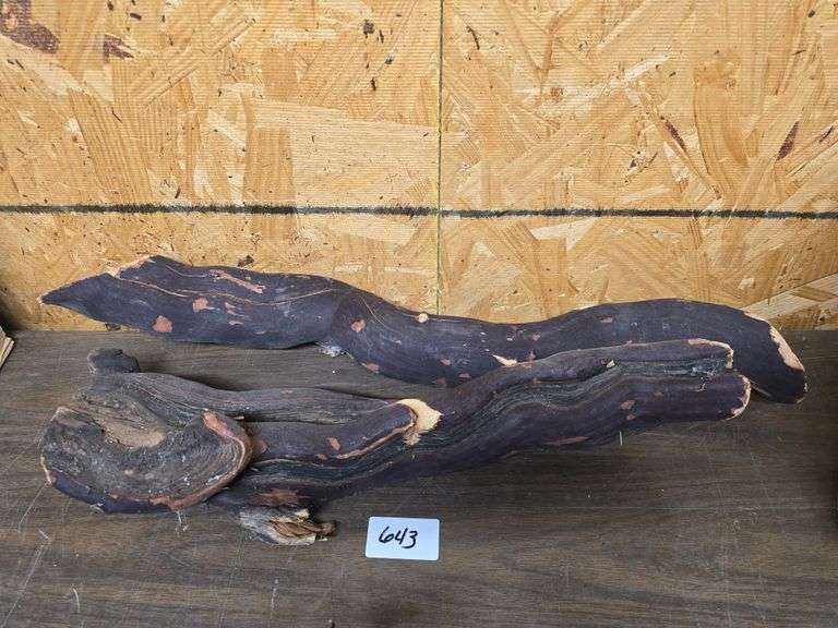 REAL RAW DRIFTWOOD APROX 20"