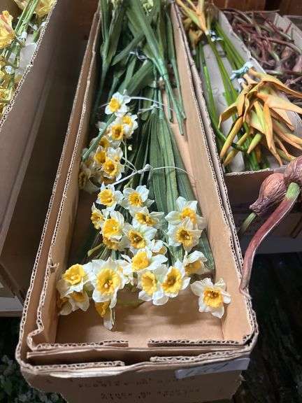 YELLOW/WHITE DAFFODIL ARTIFICIAL FLOWER STEMS 4218854 APROX 23"