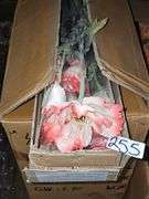 AMERICAN BEST ARTIFICIAL FLOWER STEM APROX 26"