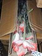AMERICAN BEST ARTIFICIAL FLOWER STEM APROX 26"