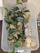 RAW WOOD DÉCOR STICKS AND LARGE FAUX FOLIAGE WITH WHITE FLOWER