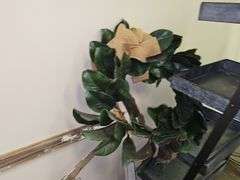 VARIETY OF WALL HANGING WREATHS MOST MOUNTED TO WOOD OR METAL, WITH BATTERY POWERED FAIRY LIGHTING INCLD.