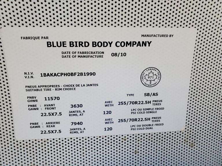blue＊bird様 stunning-vibrant-blue-bird- orderページ☽⋰ その他