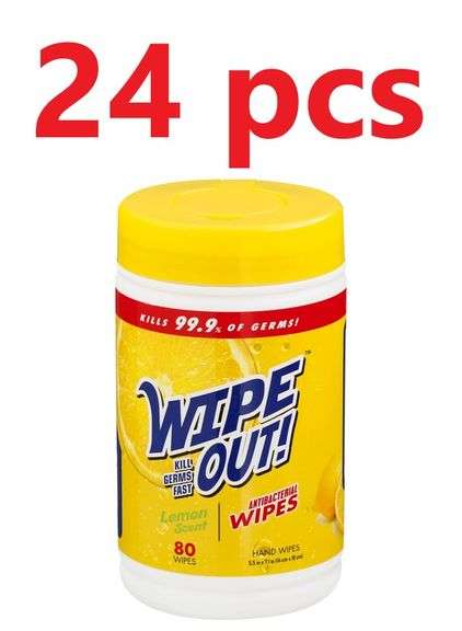 24PCS WIPE OUT ANTI-BACTERIAL WIPES 80 WIPES