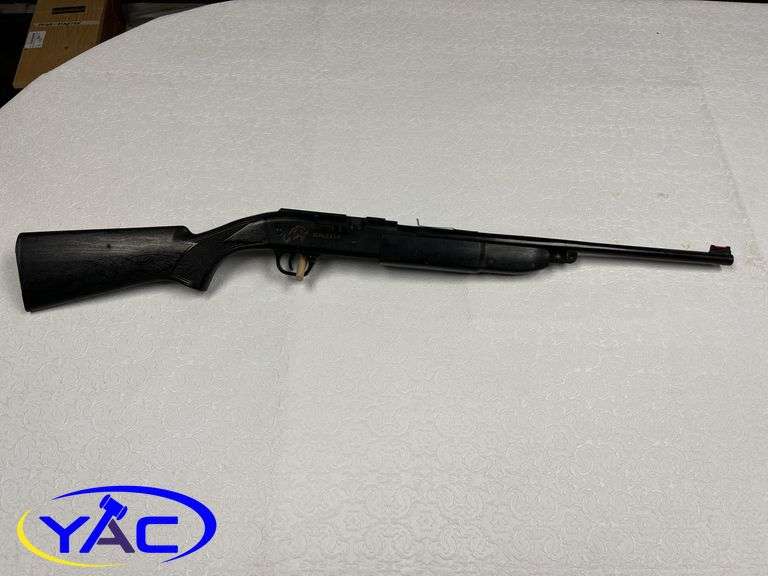 Grizzly BB Pump Pellet Gun