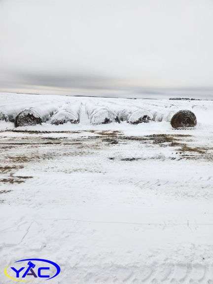 34- Alfalfa & Brome Round Bales (BUYER MUST PAY 34X THE WINNING BID PRICE)