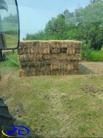 100- Alfalfa Square Bales (BIDDER MUST PAY 100X THE WINNING BID)