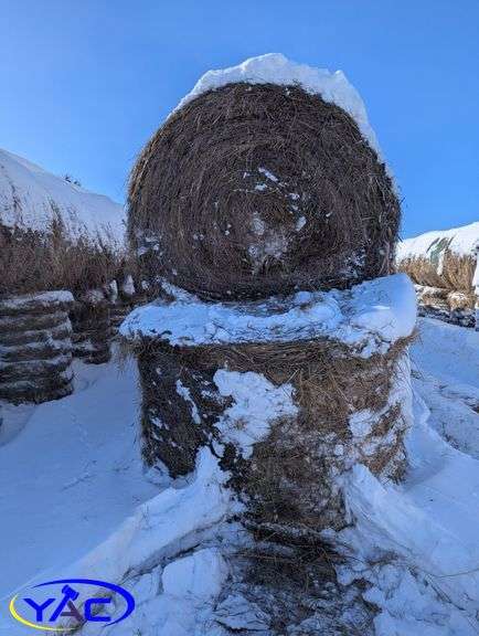 34- Wild Hay Round Bales (BIDDER MUST PAY 34X THE WINNING BID PRICE)