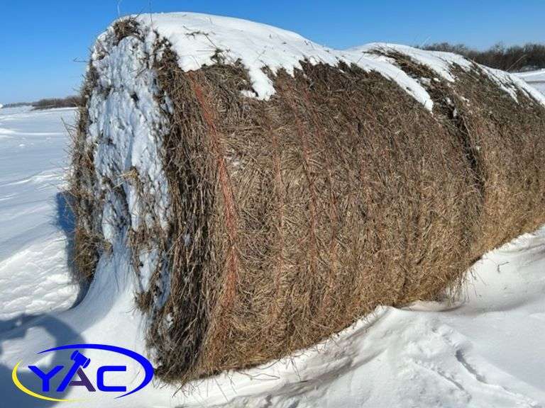 5- Round Alfalfa/Brome Grass Bales (BIDDER MUST PAY 5X THE WINNING BID PRICE)