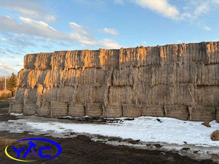 90 - Large Square Flax Bales (BUYER MUST PAY 90 TIMES THE BID PRICE