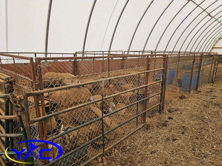 Dog Kennel Assembly