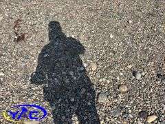 2011  OTHER LOAD TRAIL UTILTITY TRAILER