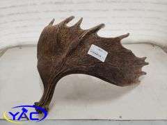 Moose Shed